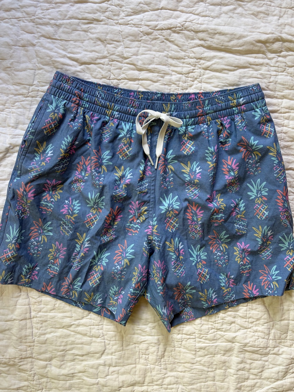Men’s Chubbies Swim Trunks, 5.5” inseam